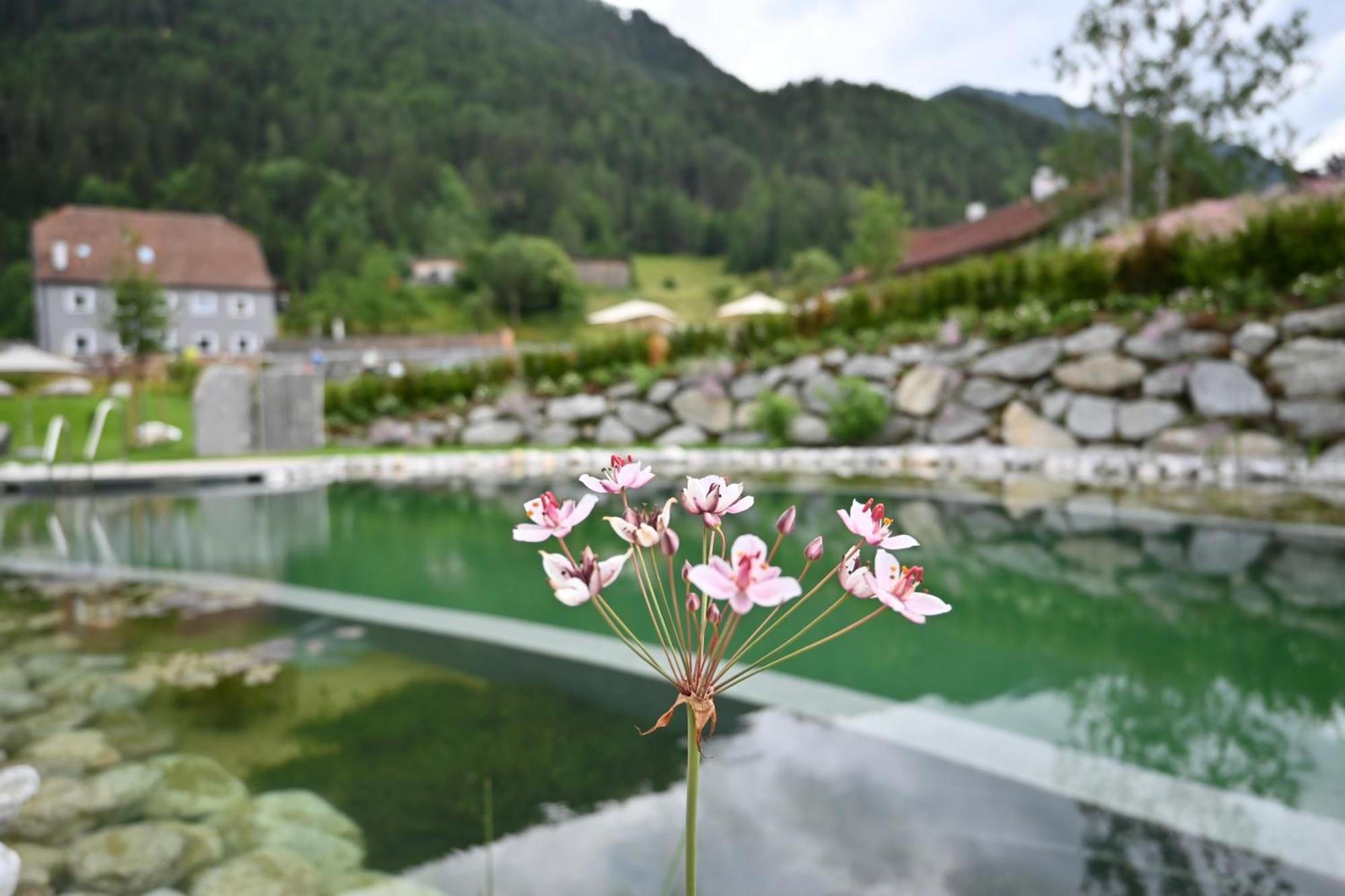 Tilia Living - B&B Mit Dem Komfort Eines Kleinen, Feinen Hotels Ried im Oberinntal Exterior foto